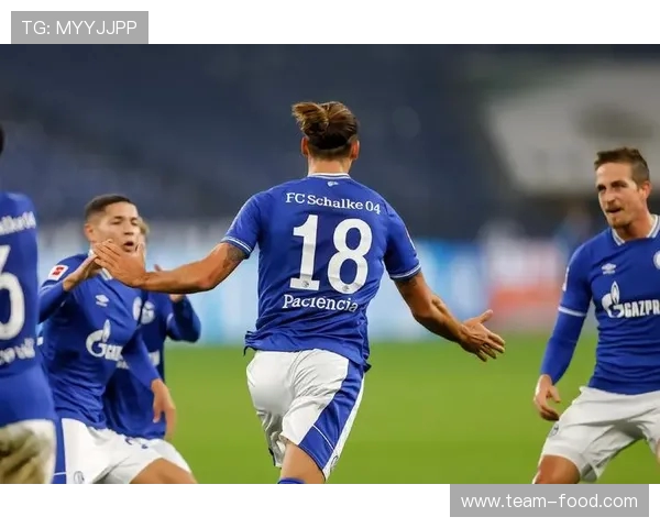 FM2017中德甲球队实力及阵容评测