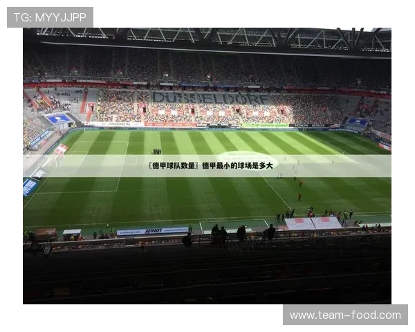 德甲球队所在城市综合实力及足球环境比较