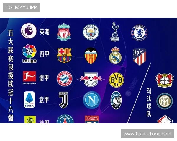 西甲球队对德甲球队战绩：西甲球队与德甲球队的交战成绩