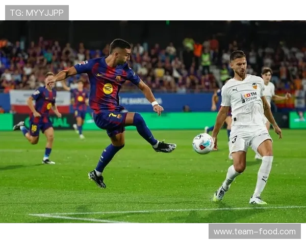 西甲视频直播网站推荐及赛事资源汇总