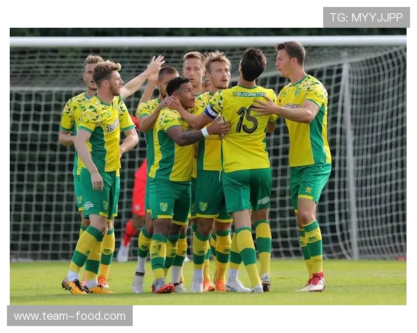 诺维奇英超时期球衣品牌与赞助商全纪录