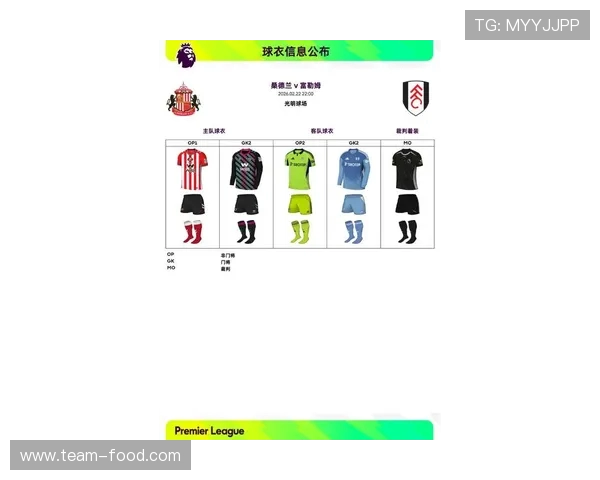 阿森纳俱乐部2025年英超现役球员完整名单公布